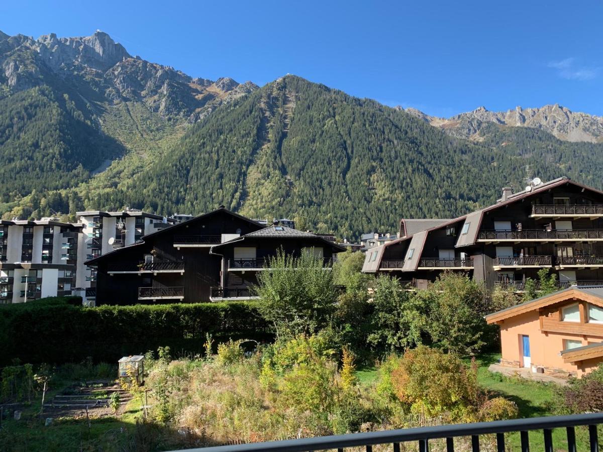 Résidence Androsace du Lyret Chamonix Mont Blanc Exterior foto